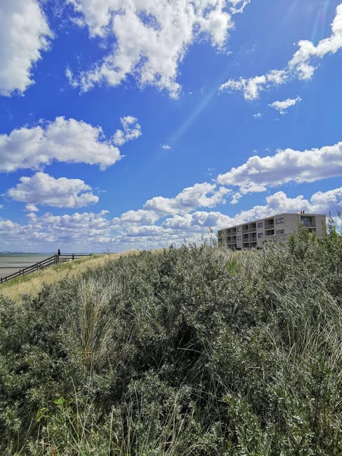 Property building, Facade/entrance, Neighbourhood, Natural landscape, Beach