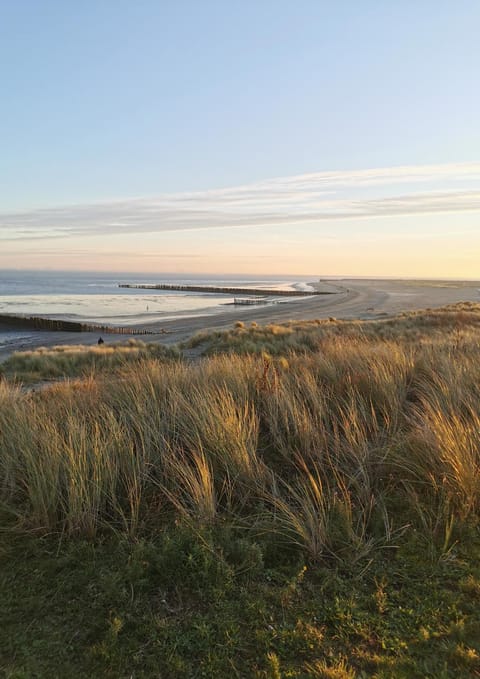 Natural landscape, Sunrise