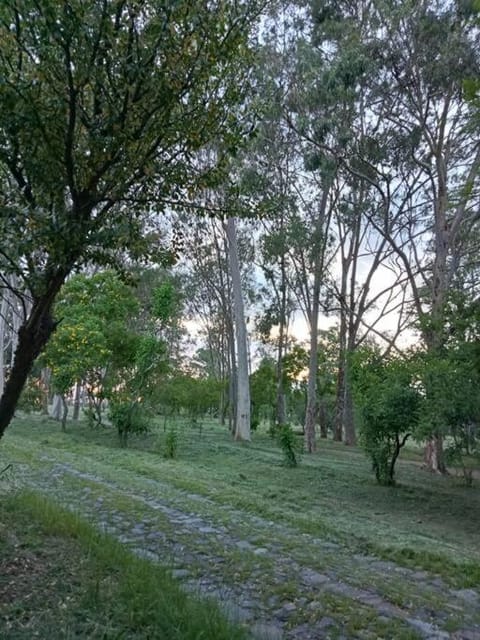 Residencia Quintas House in Zapopan