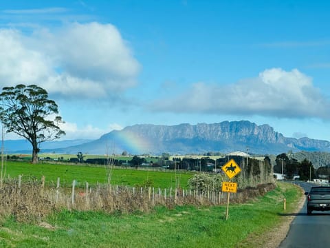 Mountain view