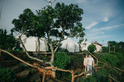 Day, People, Natural landscape, Garden view