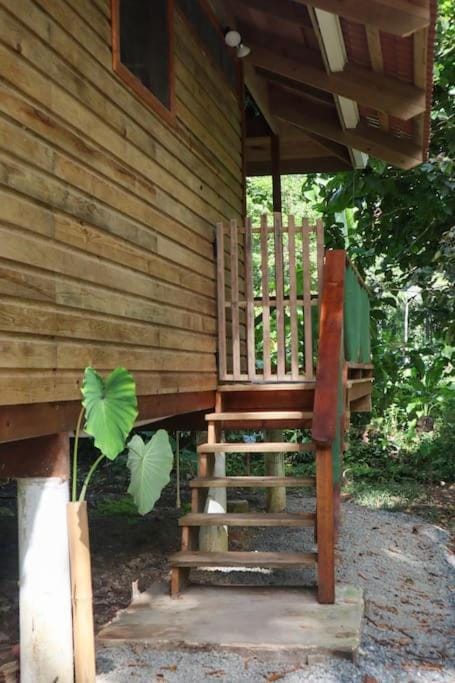 Jungle beach 2 bedroom cottage Chalet in Bocas del Toro Province