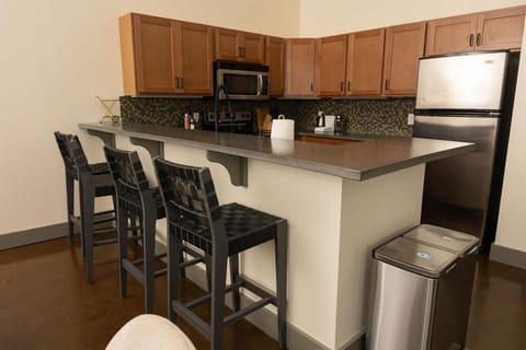 Stylish And New 1 Br Loft Apartment Right Downtown Apartment in Roanoke