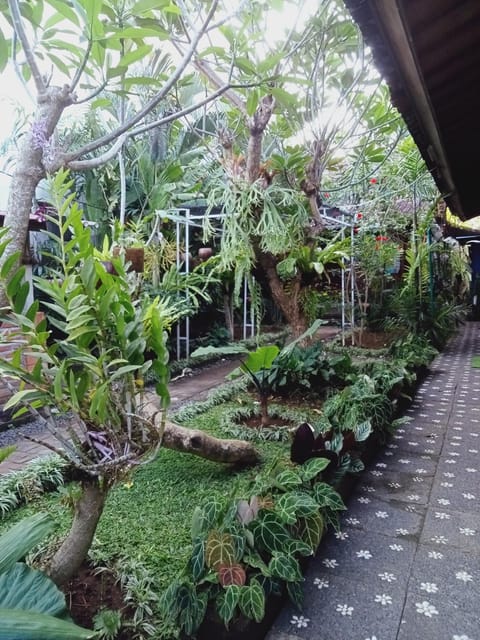 Garden, Garden view