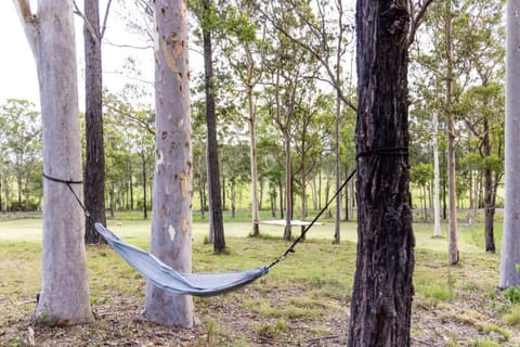 Country Escape by Tiny Away House in Wingham