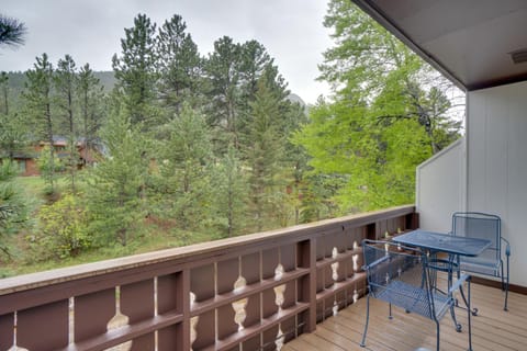 Estes Park Vacation Rental 1 Mi to National Park Apartment in Estes Park