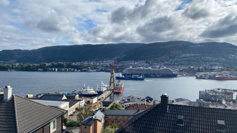 Beautiful apartment with amazing view Condo in Bergen