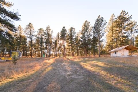 Buffalo Canvas Tent Haus in West Custer Township