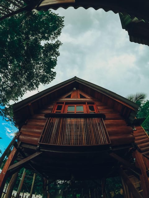 Chalé da Árvore Chalet in State of Maranhão, Brazil