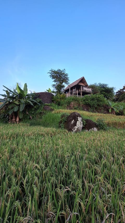 Bali Beach Eco Villas Bali Batu Beach Hut Villa in West Selemadeg