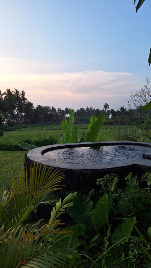 Bali Beach Eco Villas Bali Batu Beach Hut Villa in West Selemadeg