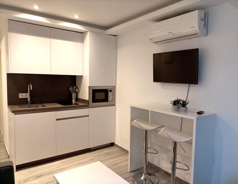 TV and multimedia, Kitchen or kitchenette, minibar, stove, air conditioner