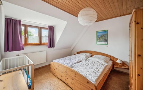 Cozy Apartment In Rechlin With Wi-fi Appartement in Rechlin