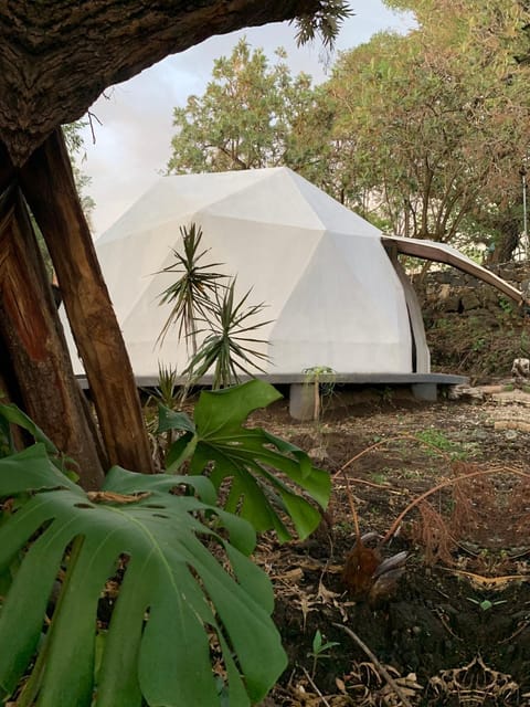 Geodesica Capsule hotel in State of Morelos