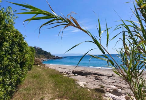 Nearby landmark, Spring, Day, Natural landscape, Beach, Sea view