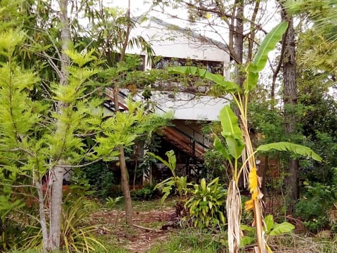 La Laurina Casa de Campo Hotel/Hospedaje Country House in Misiones Province, Argentina