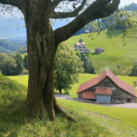 Property building, Natural landscape, Mountain view