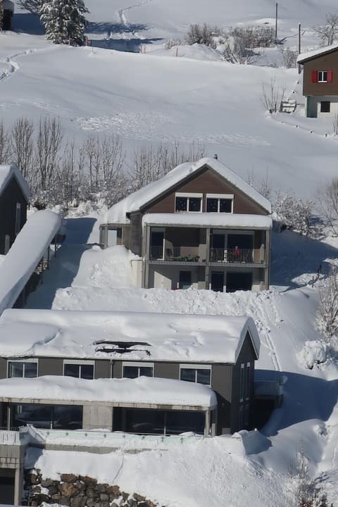 Property building, Winter