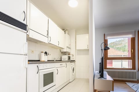 Kitchen or kitchenette, minibar, pet friendly, stove