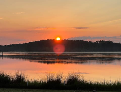 Lake view