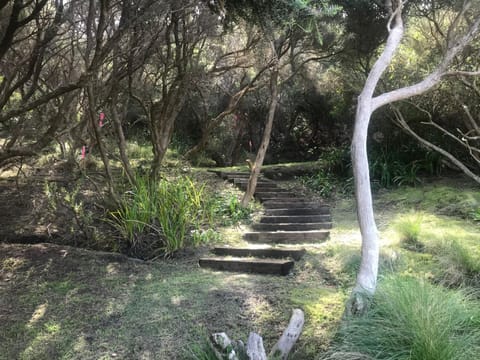 Pelican Views - Fairhaven House in Aireys Inlet