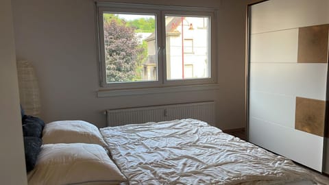 Smoke free small apartement with Garden View Apartment in Heidelberg