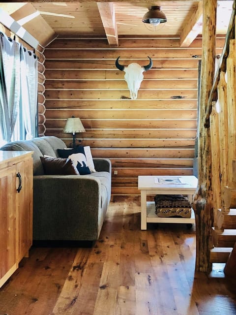 20 Mins To Ynp-cabin-pet Friendly House in Island Park