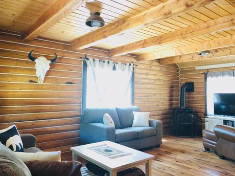 20 Mins To Ynp-cabin-pet Friendly House in Island Park