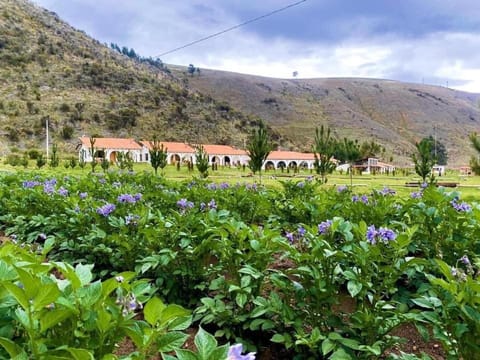 Fundo Alma Andina Hotel in Junin, Peru