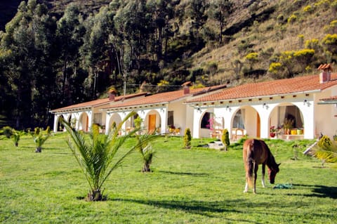 Spring, Natural landscape, Garden, Animals, Garden view, Mountain view, Mountain view