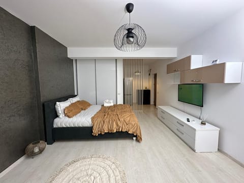 Fundeni house 250C Apartment in Bucharest