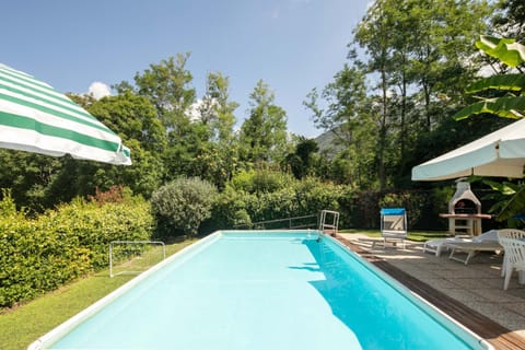 Natural landscape, Garden, Swimming pool