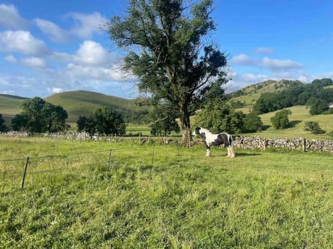 The Homestead - Modern cottage in a stunning Peak District setting House in Staffordshire Moorlands District