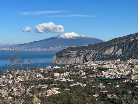 Agriturismo b&b L arancio In fiore Bed and Breakfast in Sant Agnello