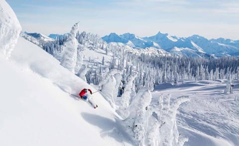 Day, People, Skiing, Mountain view