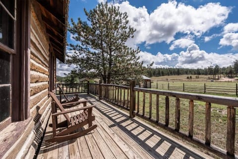 New! Historic Chalet in Colorado National Forest Chalet in Park County