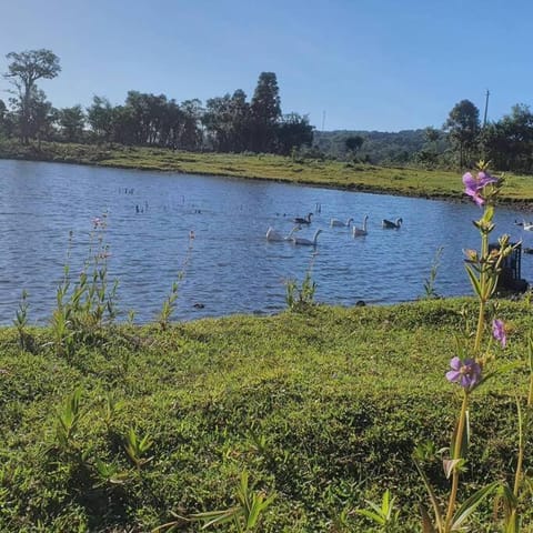 Spring, Day, Natural landscape, Lake view