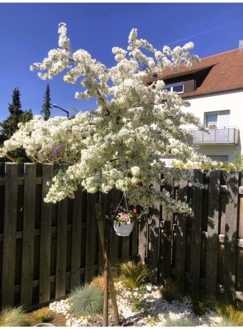 Spring, Garden