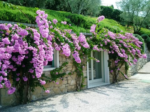 MINI DI LUSSO CON PISCINA House in Torri del Benaco