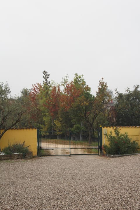 Facade/entrance, Street view