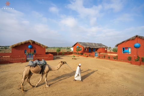 Zostel Sam Desert (Jaisalmer) Hostel in Sindh