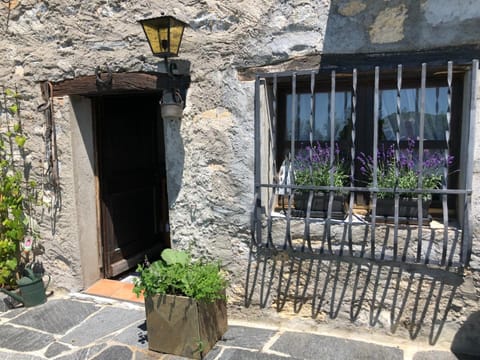 Property building, Day, Garden, Garden view