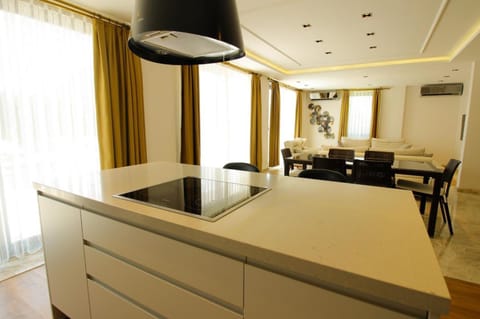 Kitchen or kitchenette, Living room, Seating area, Dining area, air conditioner