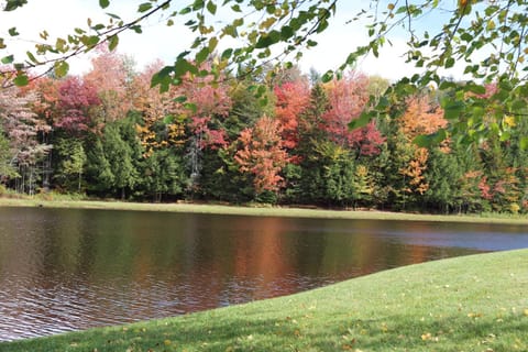 Natural landscape, Autumn, Seasons