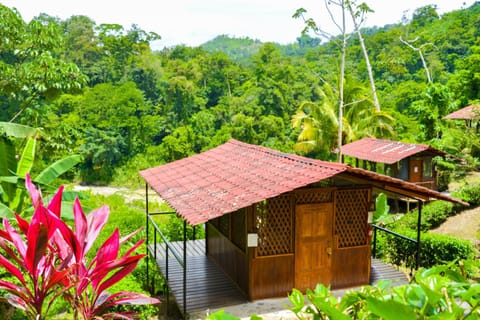 Pacuare River Lodge Nature lodge in Cartago Province, Costa Rica