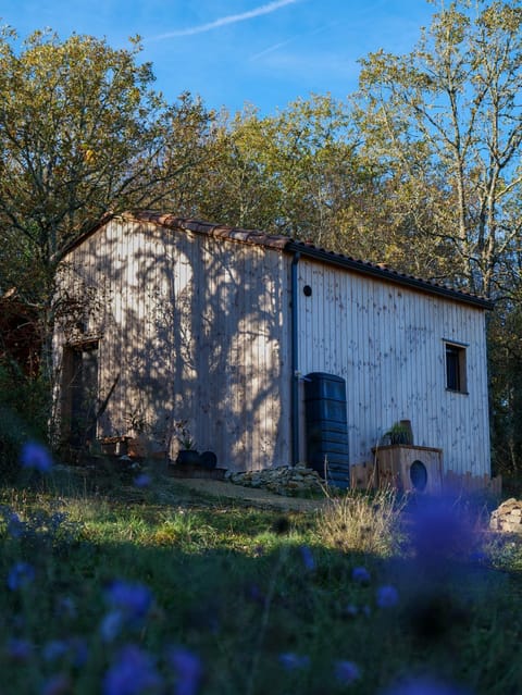 Property building, Garden, Garden view