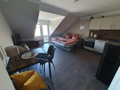 Neumühler Hof- Ferienwohnung "Benjamin", mit einer großen privater Dachterasse, entspannter Atmosphäre mit Sonnenuntergang Condo in Schwerin