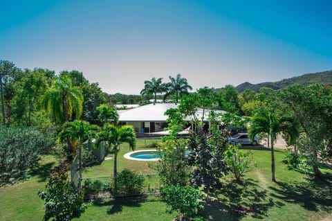 Bird's eye view, Garden, Swimming pool