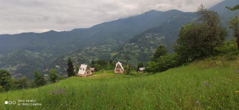 Nearby landmark, Spring, Day, Natural landscape, Garden, Mountain view