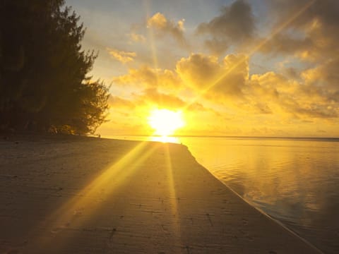 Beach, Sunset